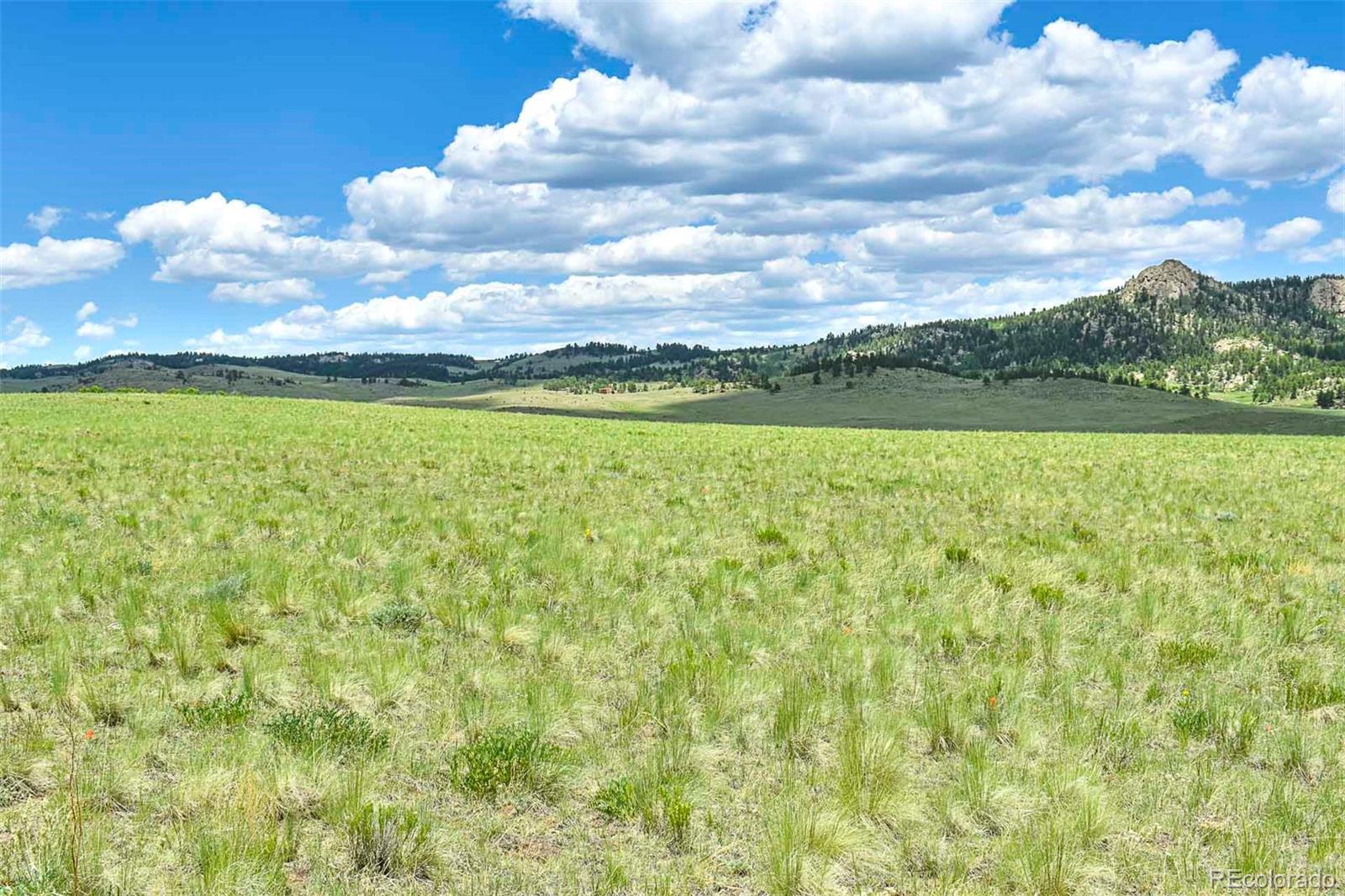County Road 63 Guffey CO 80820