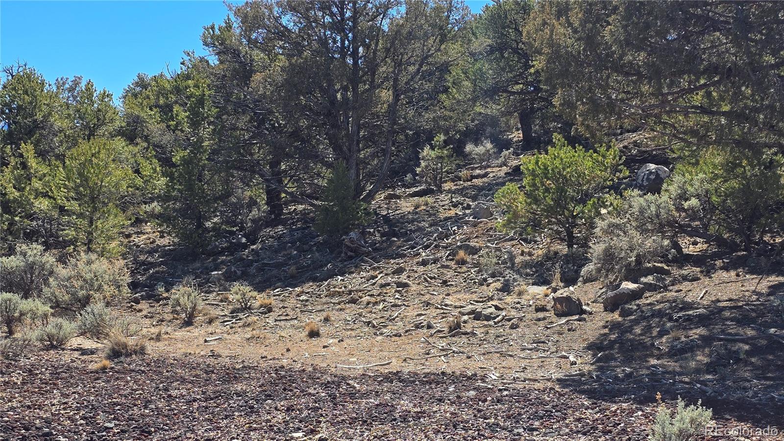 Lots 5 & 6 Lakeview Drive San Luis CO 81152
