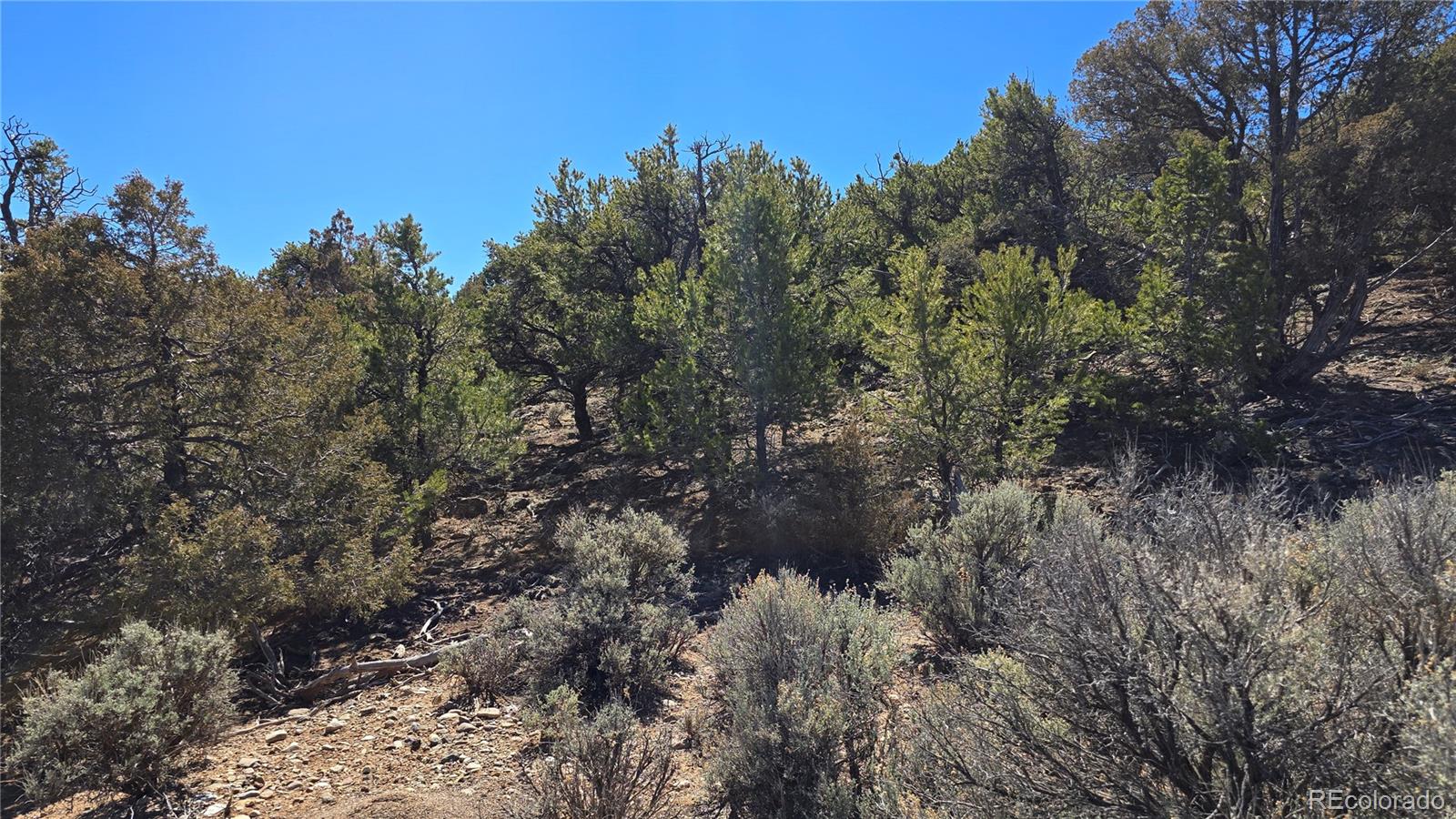 Lots 5 & 6 Lakeview Drive San Luis CO 81152