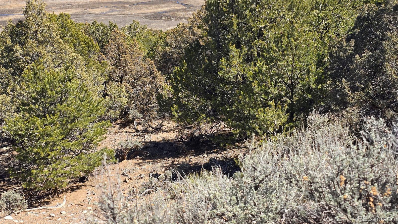 Lots 5 & 6 Lakeview Drive San Luis CO 81152