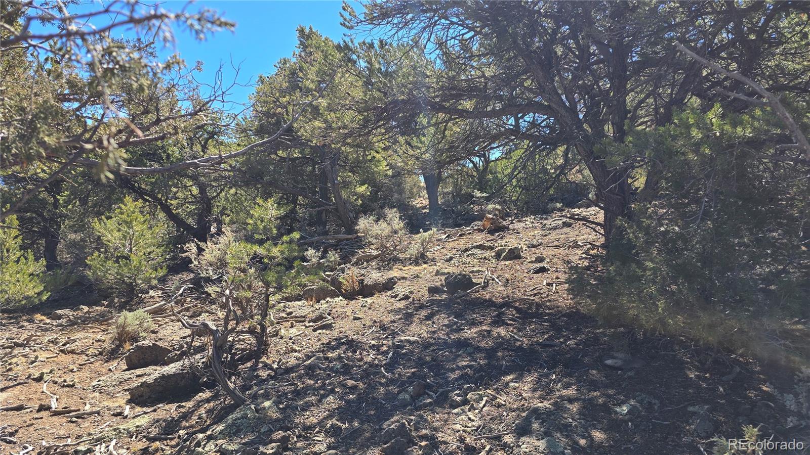 Lots 5 & 6 Lakeview Drive San Luis CO 81152
