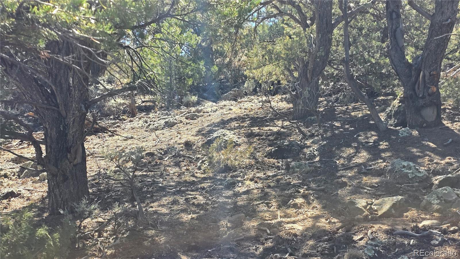 Lots 5 & 6 Lakeview Drive San Luis CO 81152