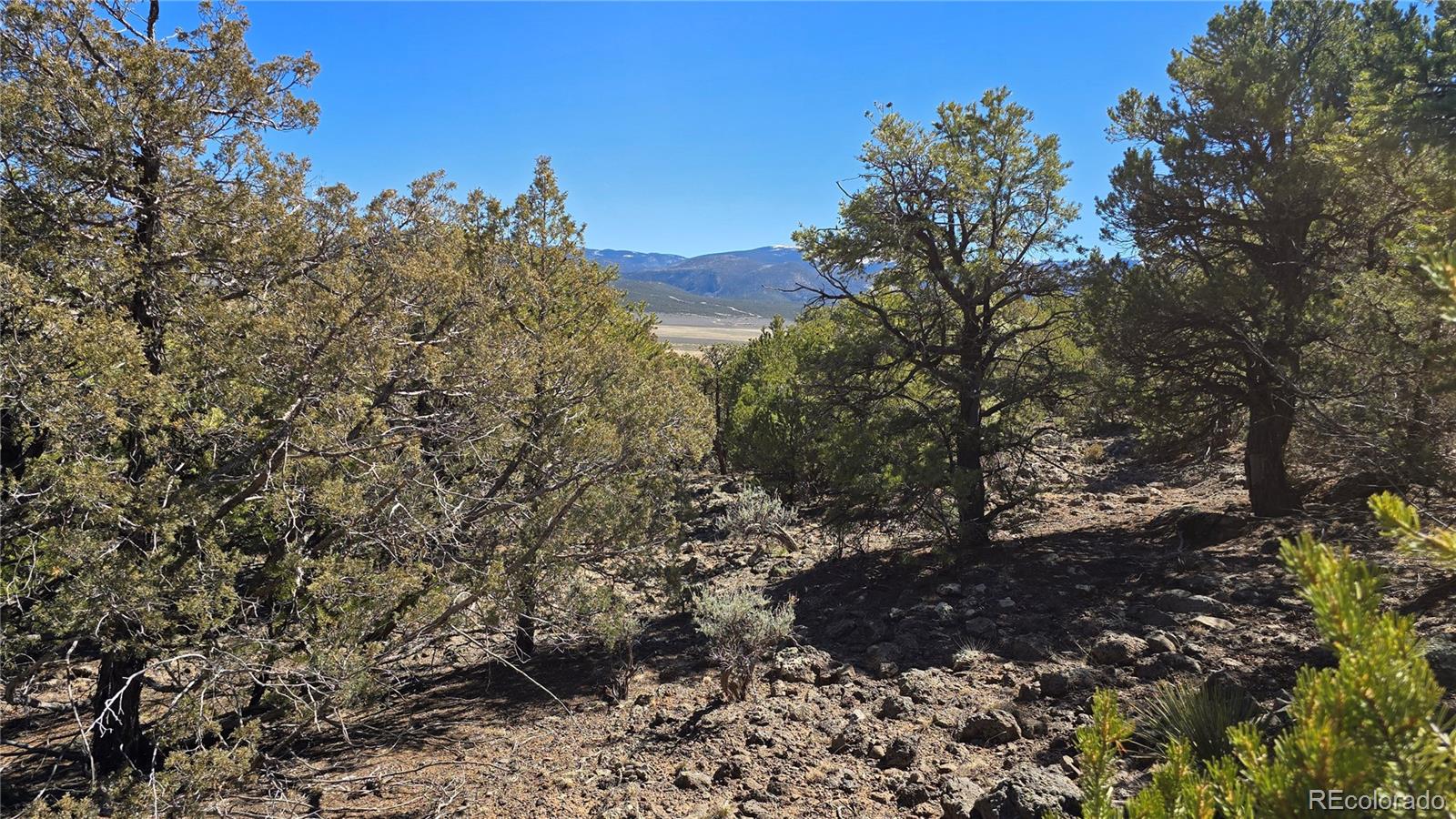 Lots 5 & 6 Lakeview Drive San Luis CO 81152