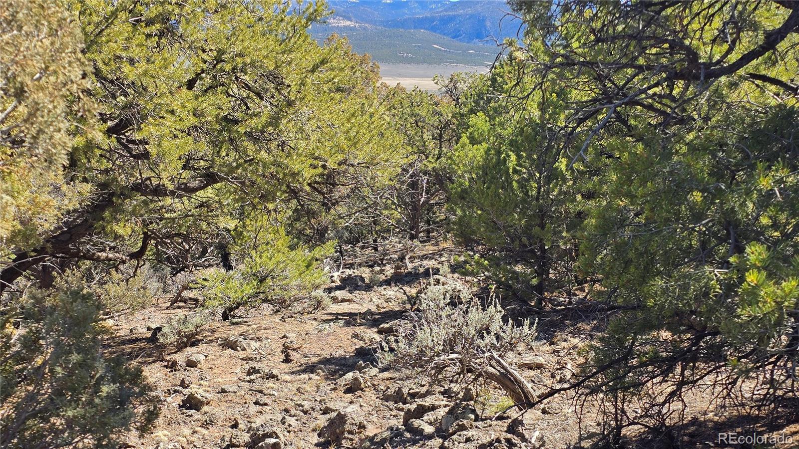 Lots 5 & 6 Lakeview Drive San Luis CO 81152