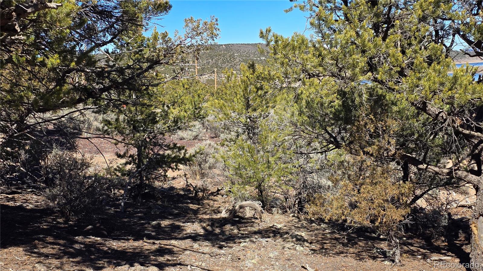 Lots 5 & 6 Lakeview Drive San Luis CO 81152