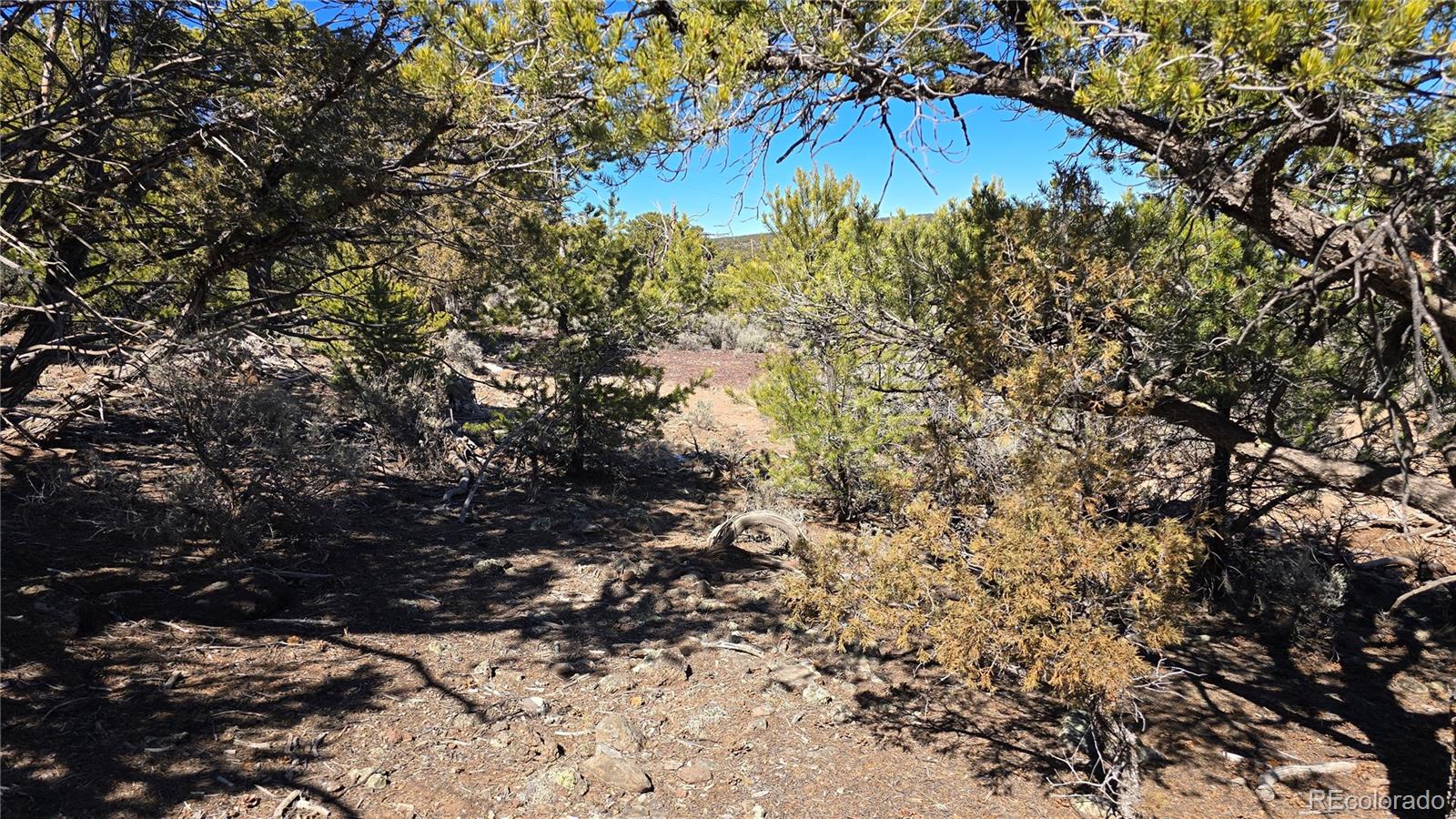 Lots 5 & 6 Lakeview Drive San Luis CO 81152