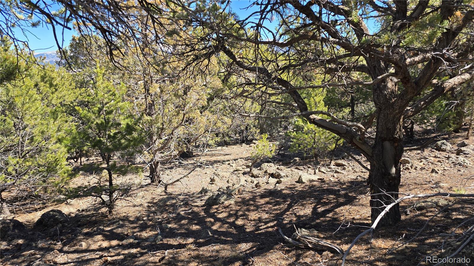 Lots 5 & 6 Lakeview Drive San Luis CO 81152