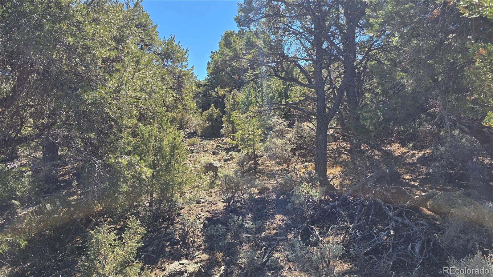 Lots 5 & 6 Lakeview Drive San Luis CO 81152