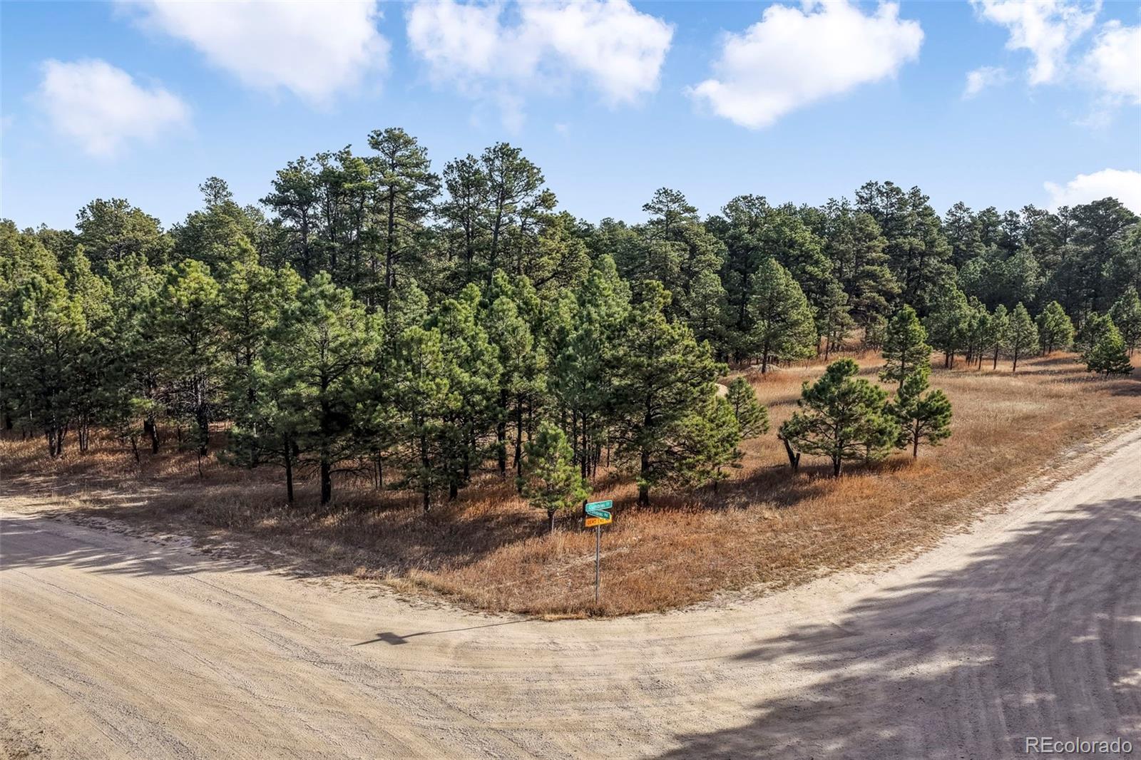 18230 Cumbres Court Peyton CO 80831