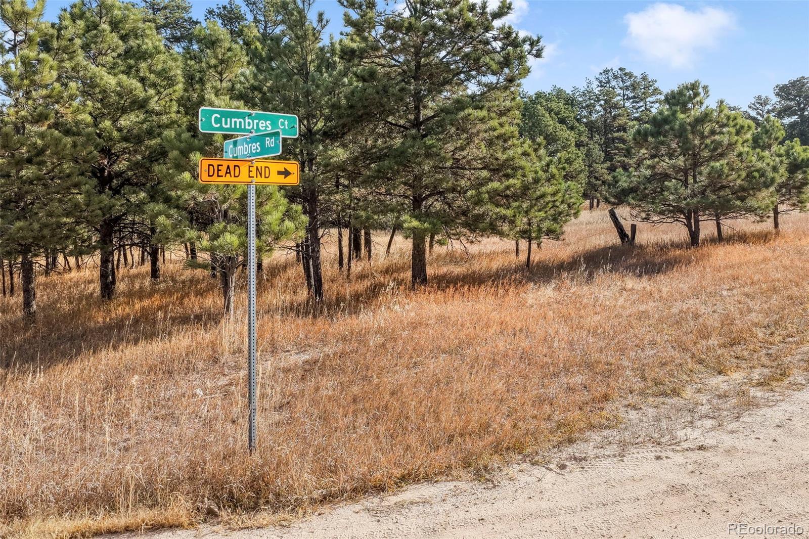 18230 Cumbres Court Peyton CO 80831