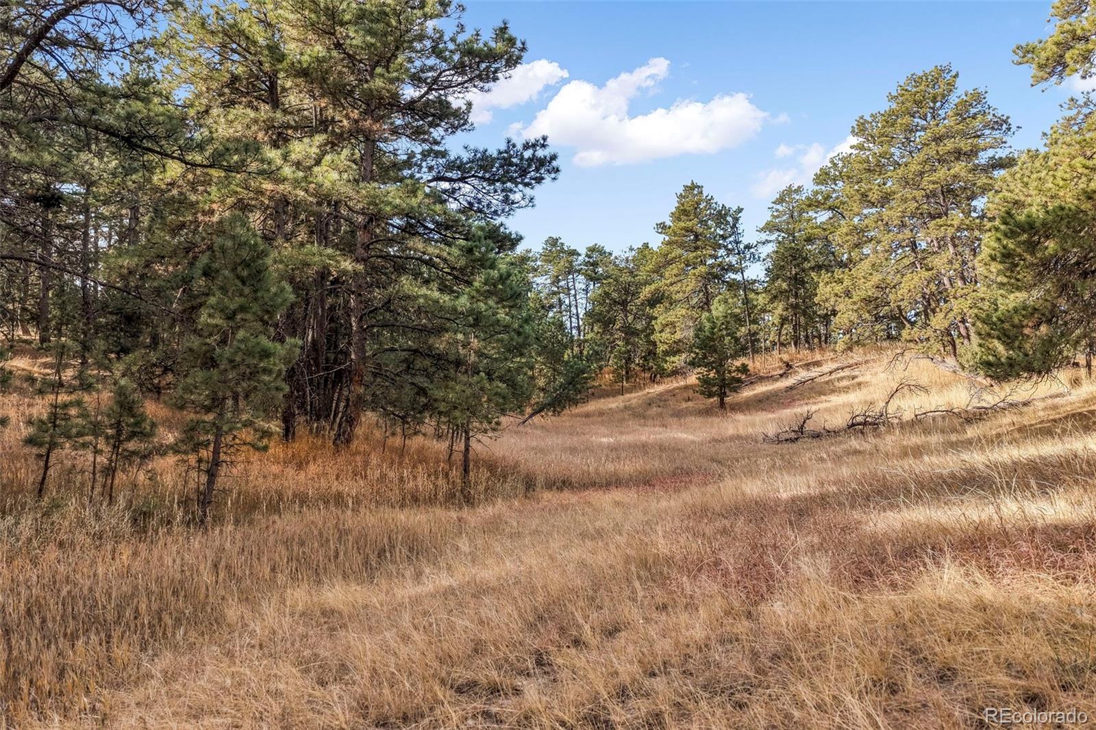 18230 Cumbres Court Peyton CO 80831