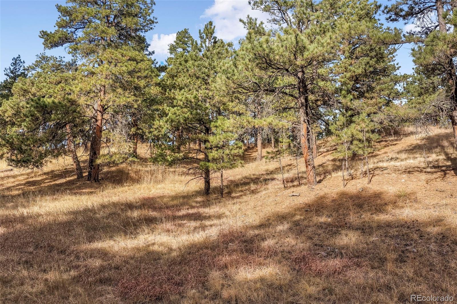 18230 Cumbres Court Peyton CO 80831
