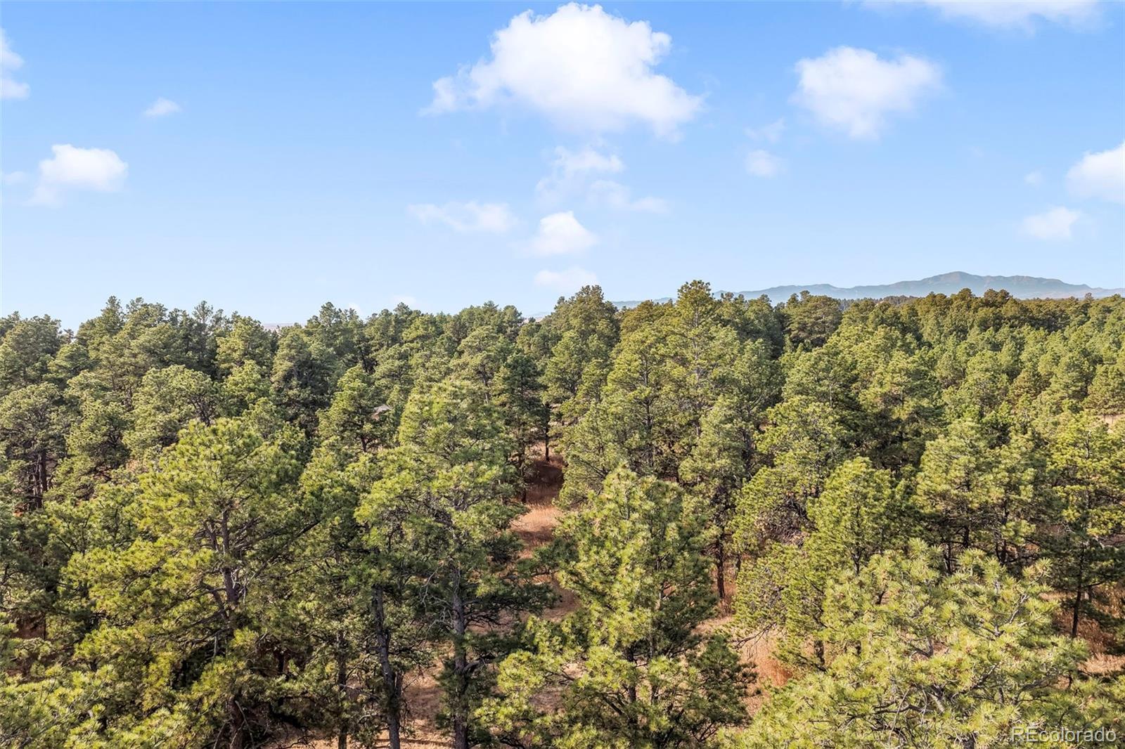 18230 Cumbres Court Peyton CO 80831