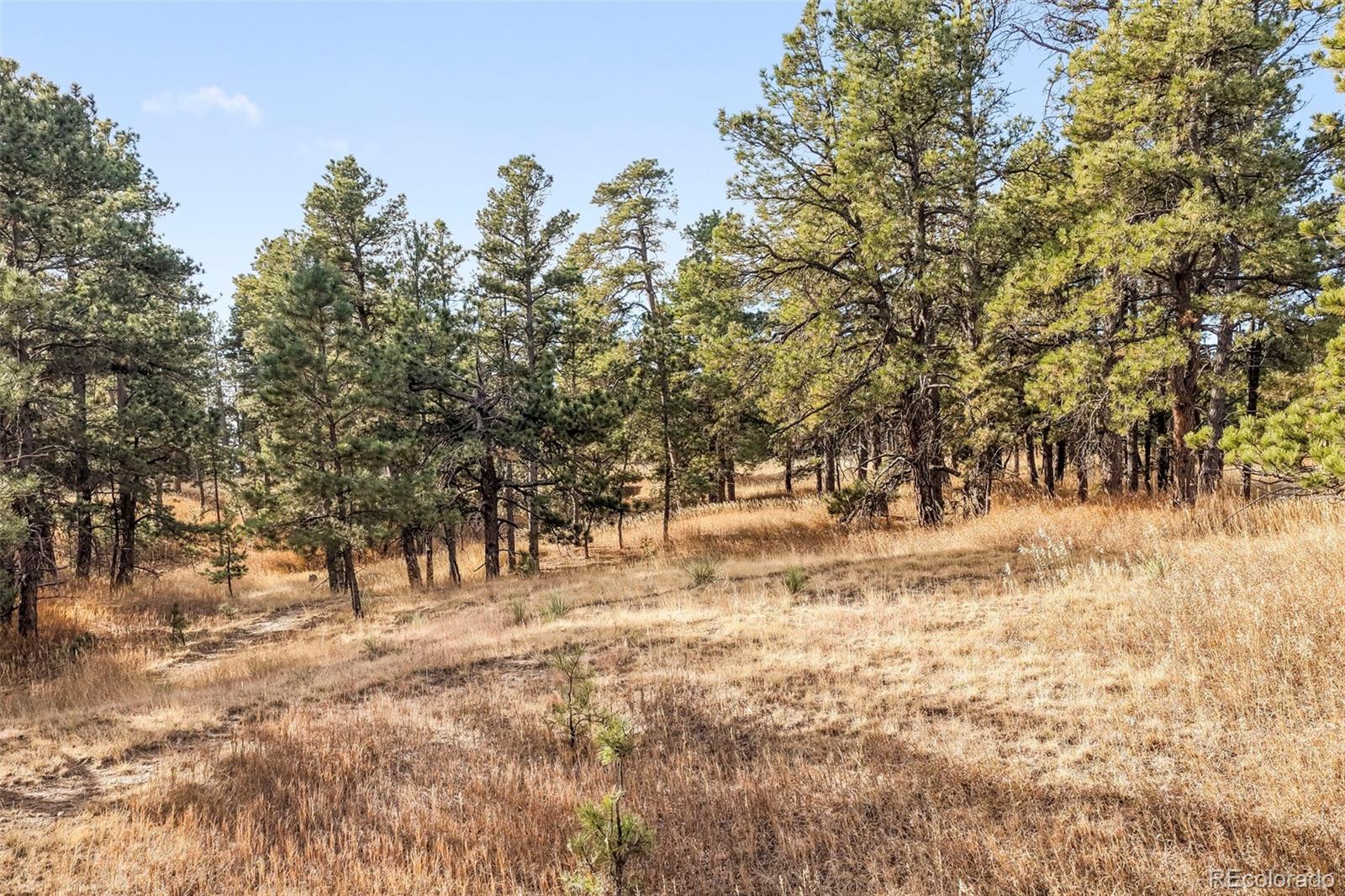 18230 Cumbres Court Peyton CO 80831