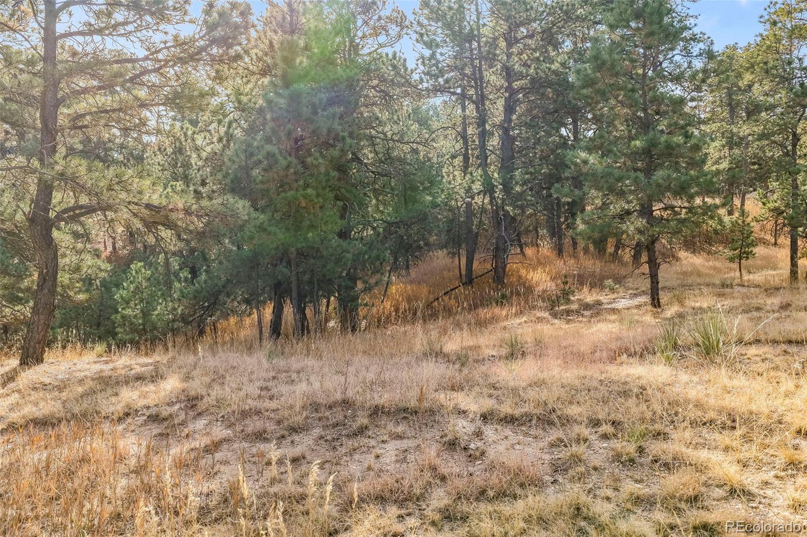 18230 Cumbres Court Peyton CO 80831