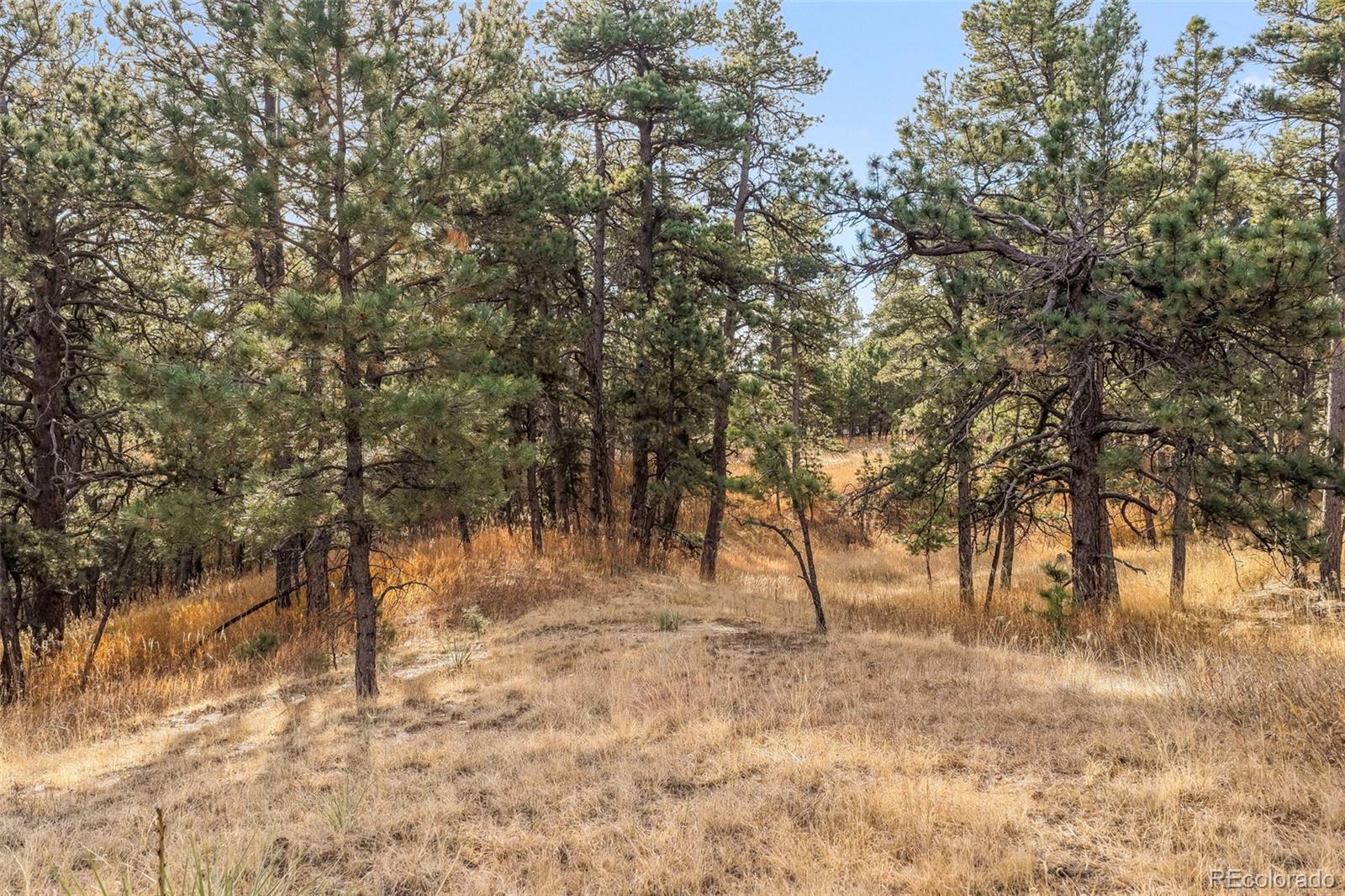 18230 Cumbres Court Peyton CO 80831