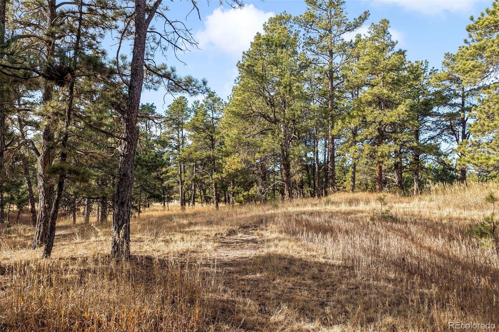 18230 Cumbres Court Peyton CO 80831