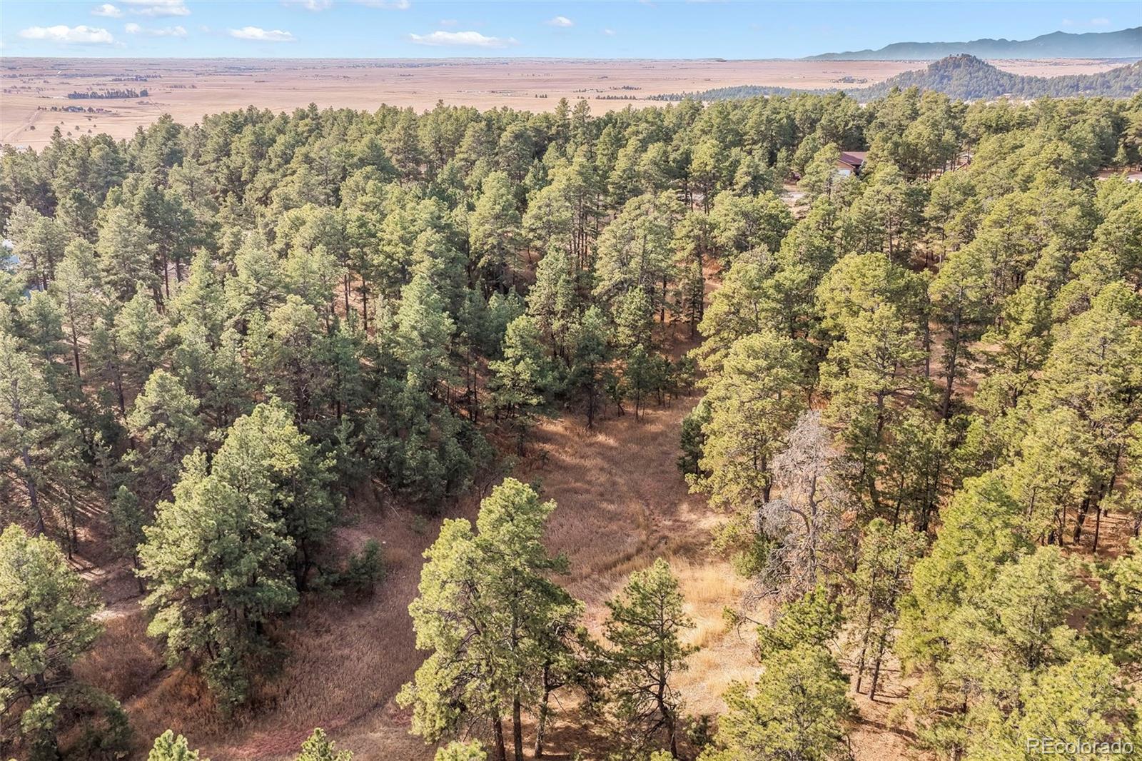 18230 Cumbres Court Peyton CO 80831