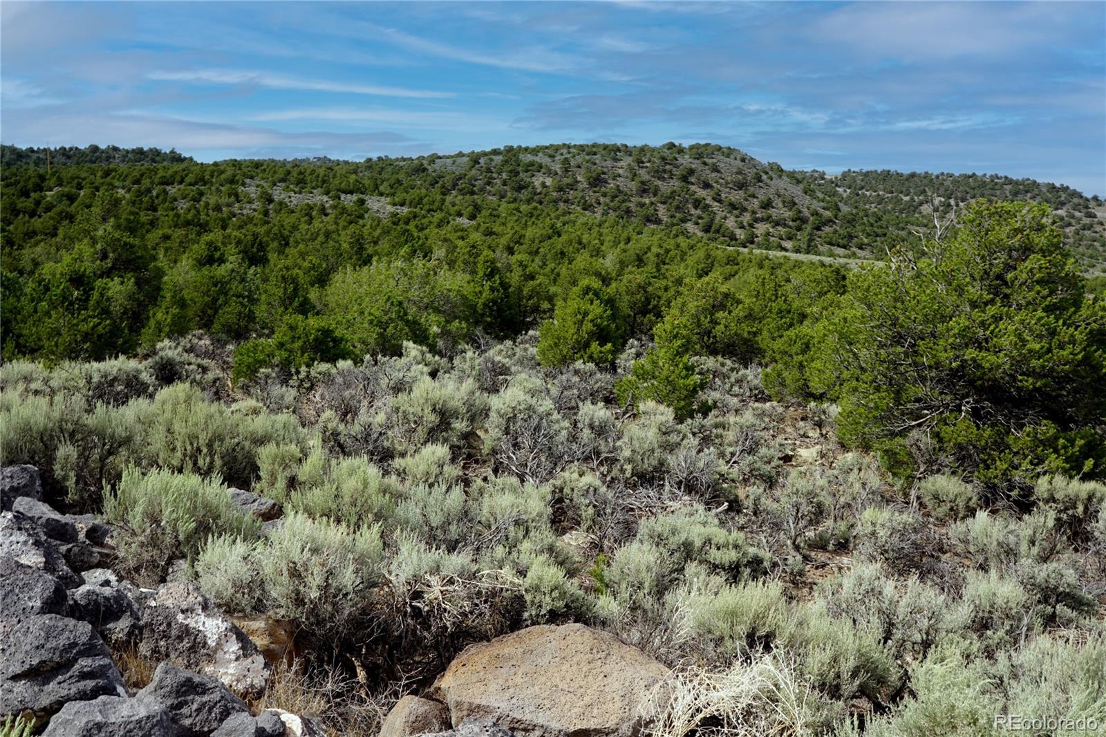 Lot 3 Melby Rancho San Luis CO 81152