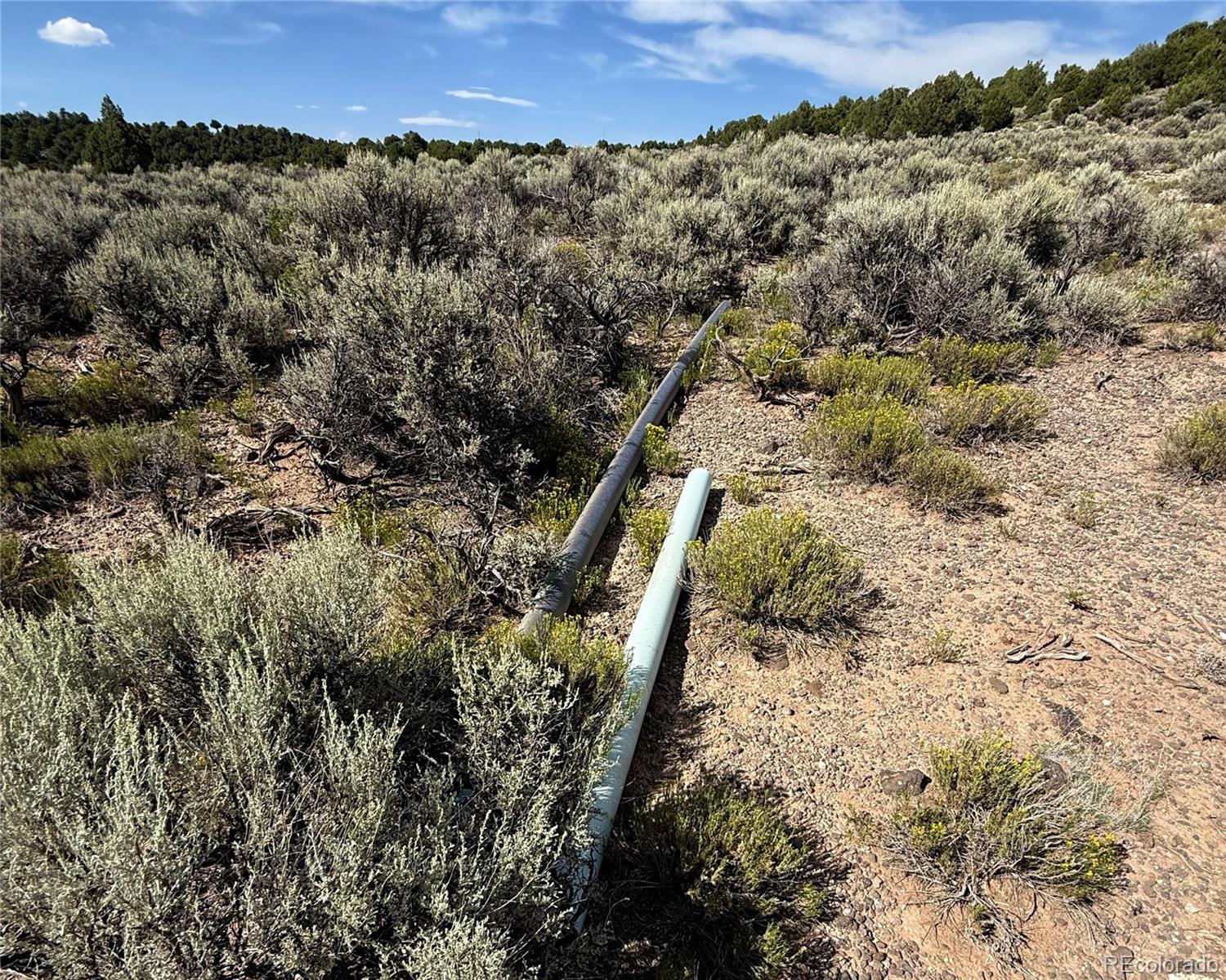 Lot 3 Melby Rancho San Luis CO 81152