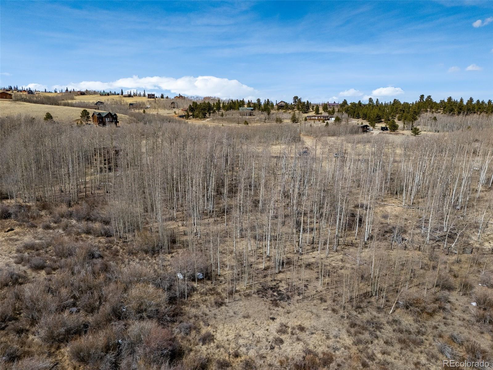 1555 Sheep Ridge Road Fairplay CO 80440