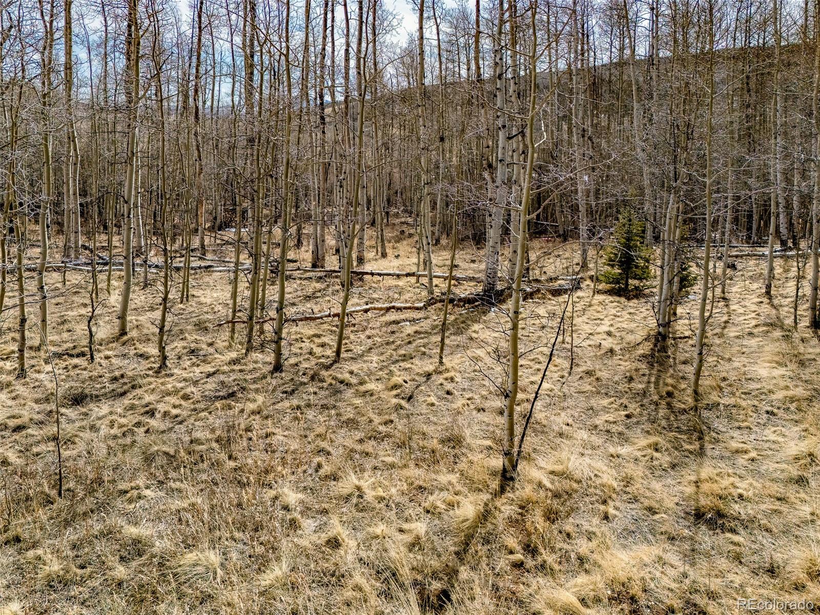 1555 Sheep Ridge Road Fairplay CO 80440