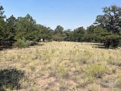 2158 Indian Well Way Crestone CO 81131