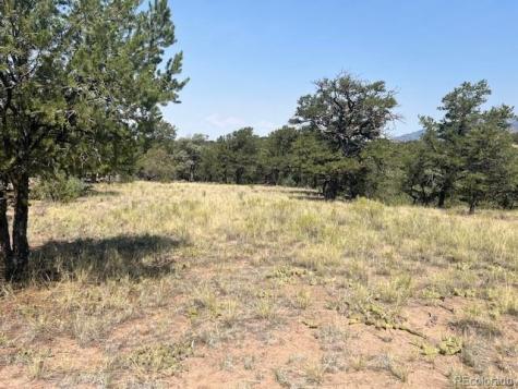 2158 Indian Well Way Crestone CO 81131