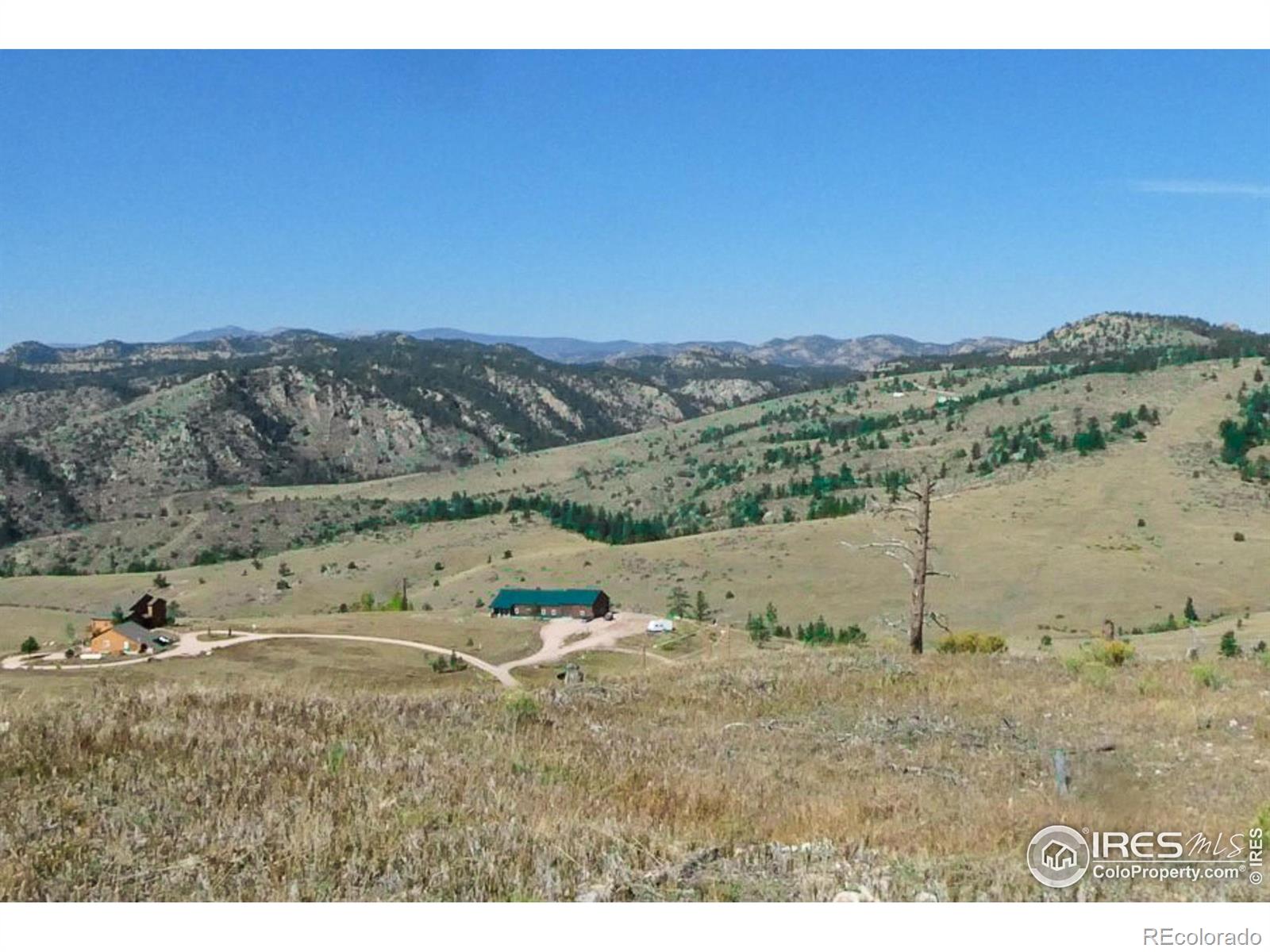59 Bobcat Mountain Court Livermore CO 80536