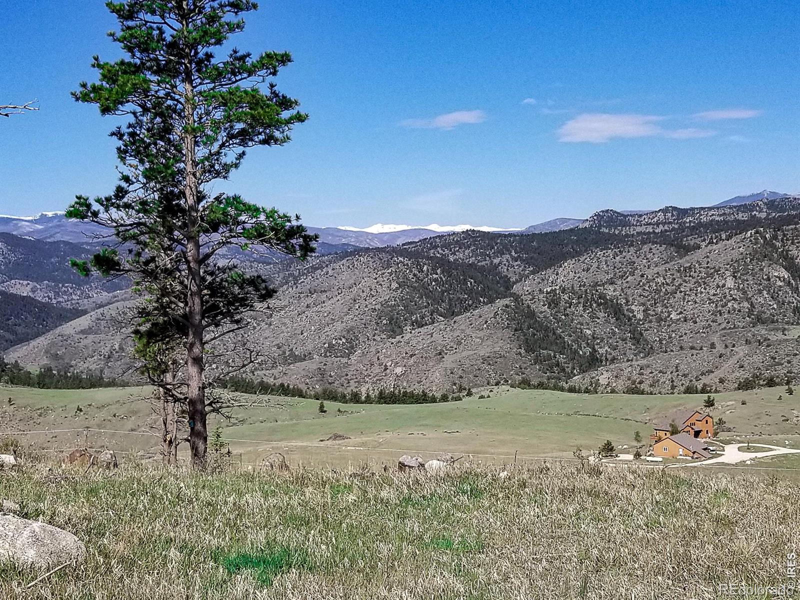 59 Bobcat Mountain Court Livermore CO 80536