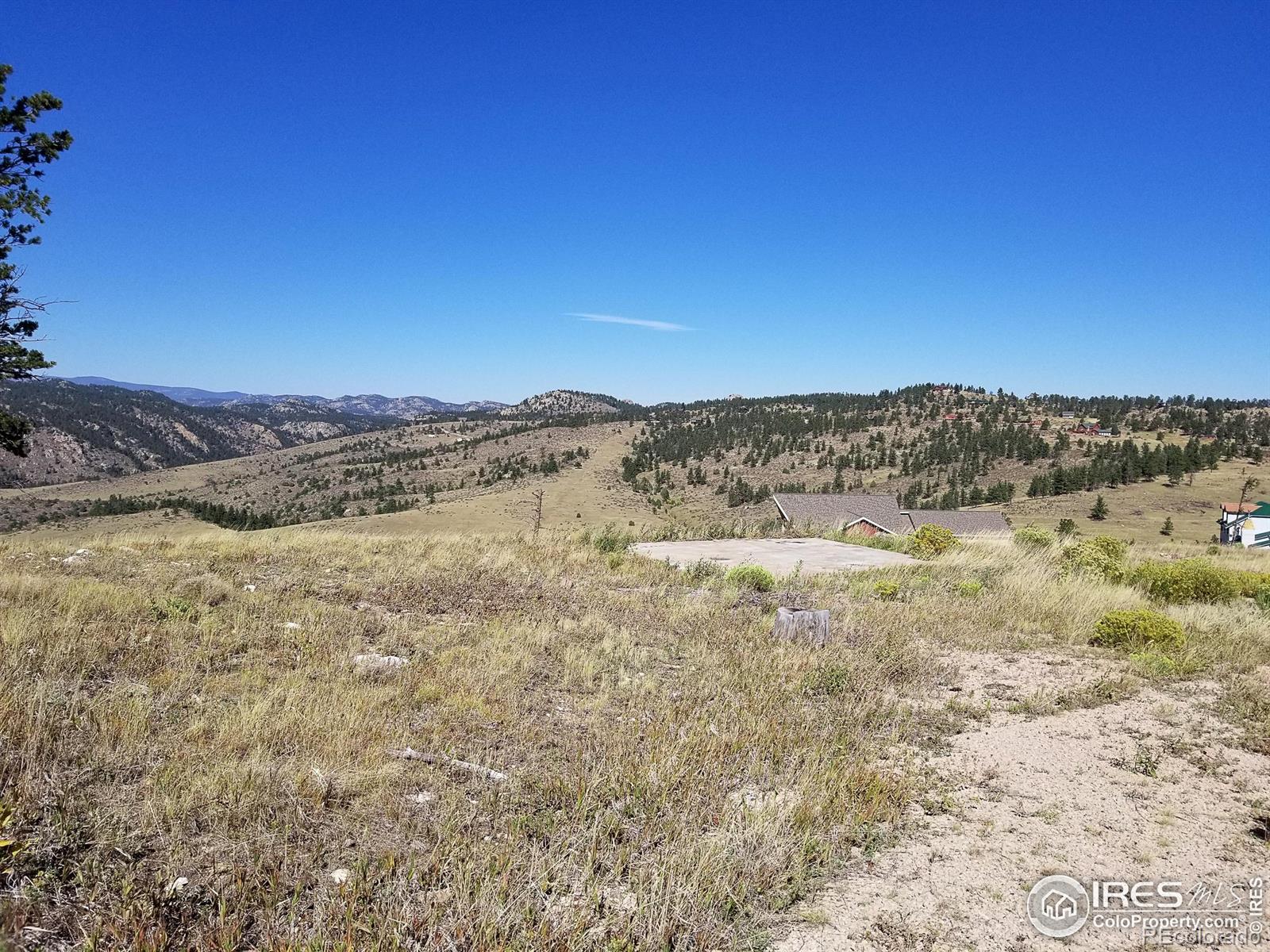 59 Bobcat Mountain Court Livermore CO 80536