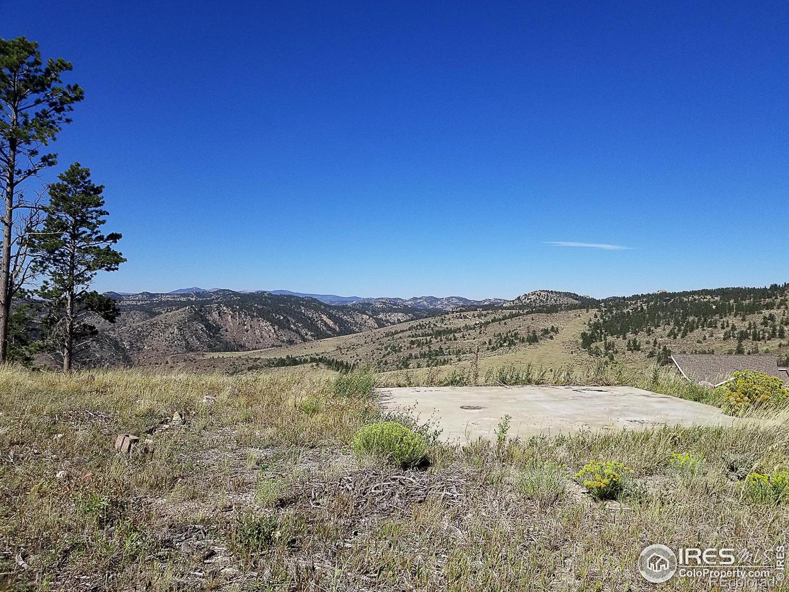 59 Bobcat Mountain Court Livermore CO 80536