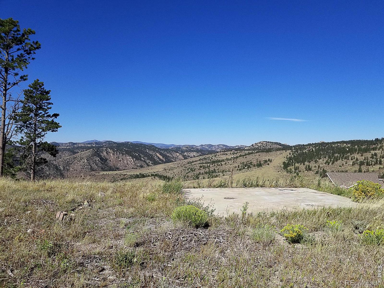 59 Bobcat Mountain Court Livermore CO 80536