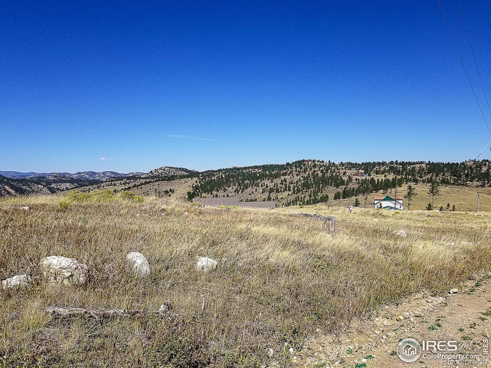 59 Bobcat Mountain Court Livermore CO 80536