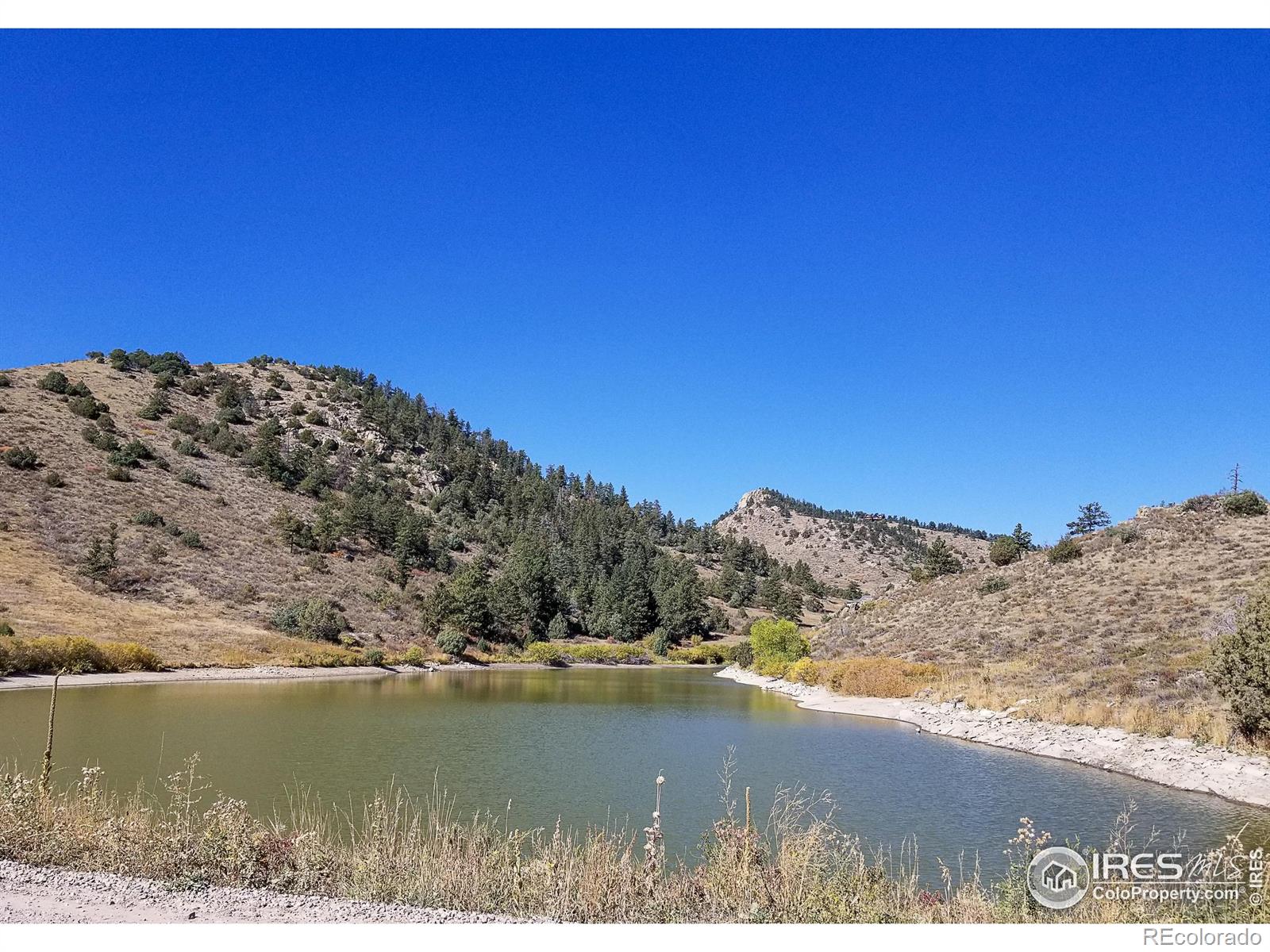 59 Bobcat Mountain Court Livermore CO 80536