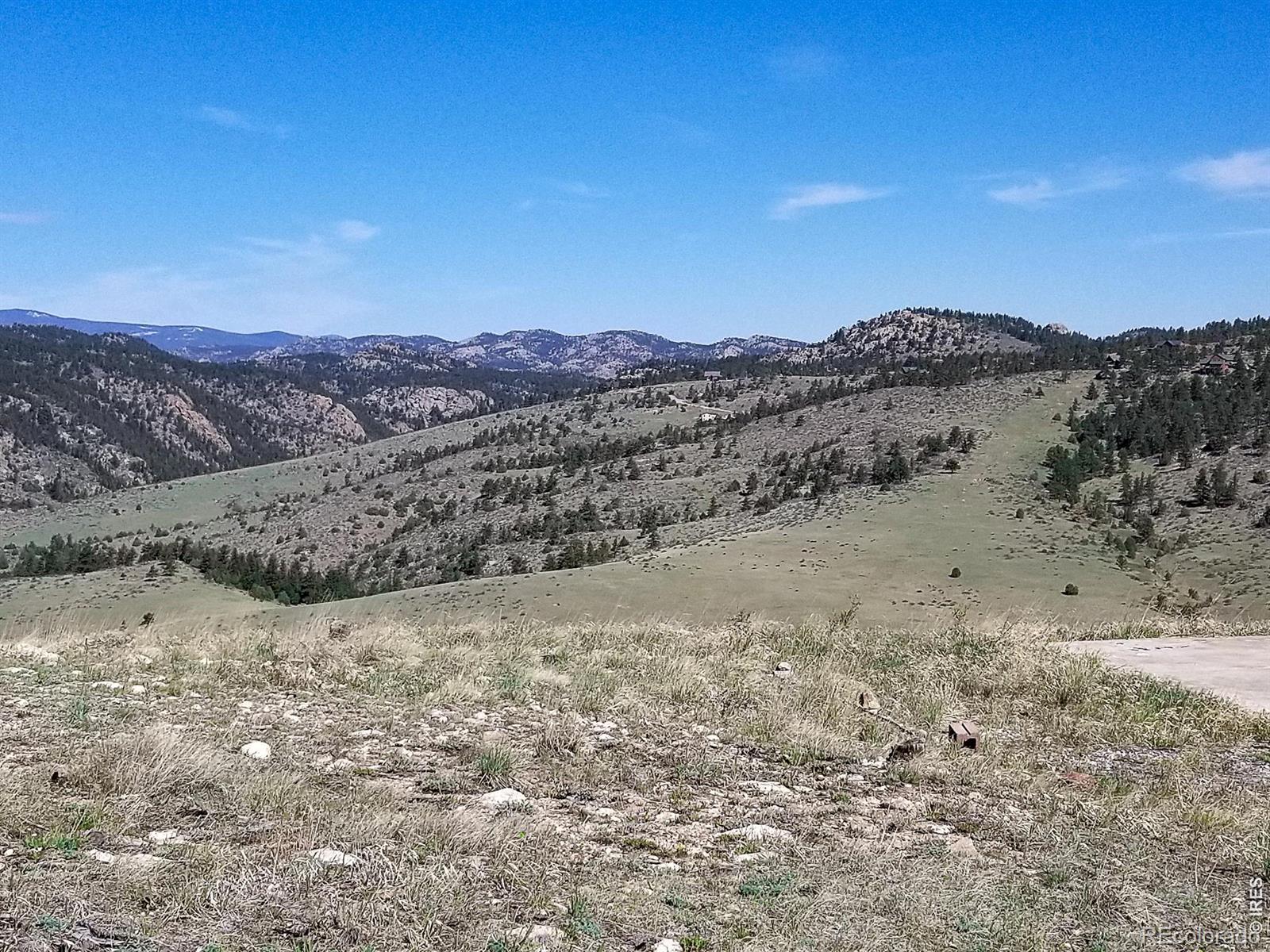 59 Bobcat Mountain Court Livermore CO 80536