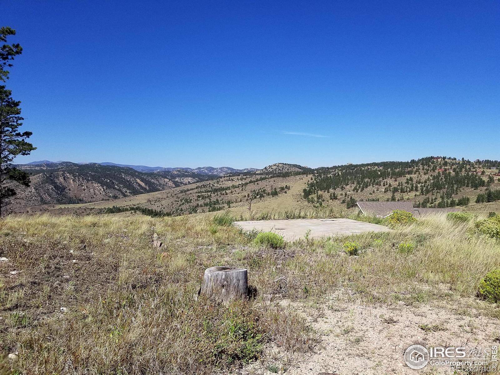 59 Bobcat Mountain Court Livermore CO 80536