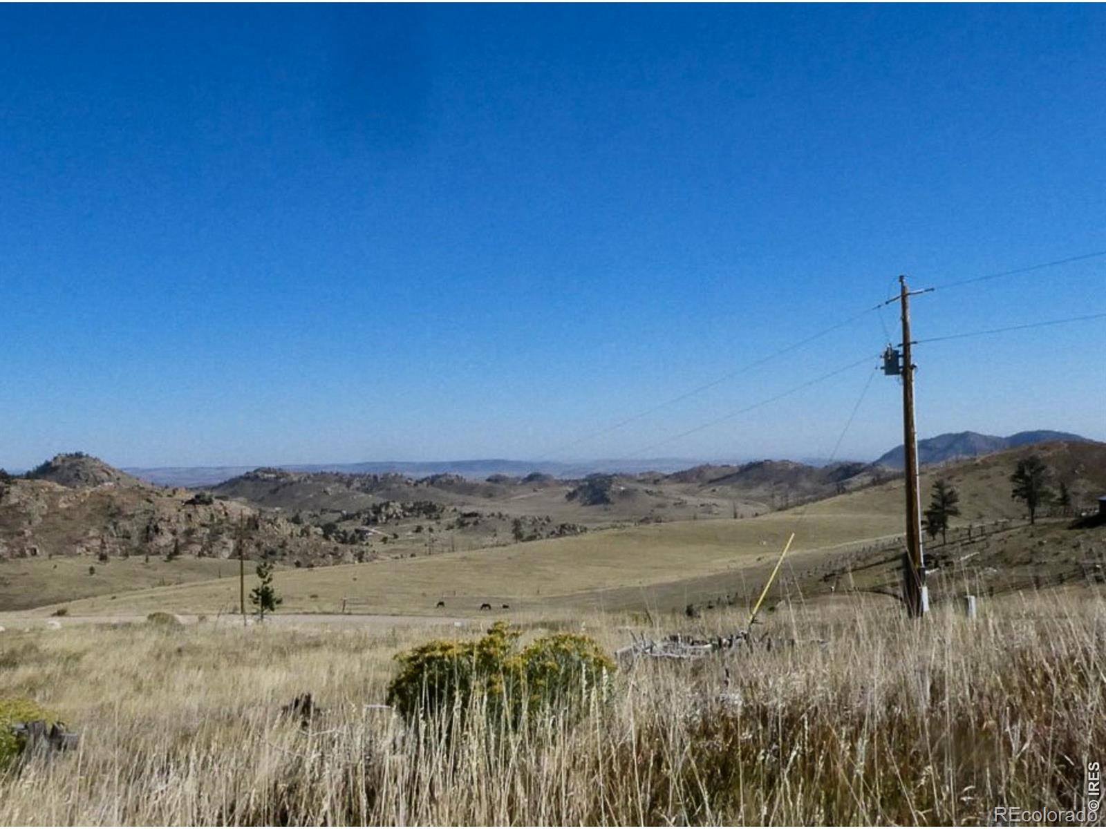 59 Bobcat Mountain Court Livermore CO 80536