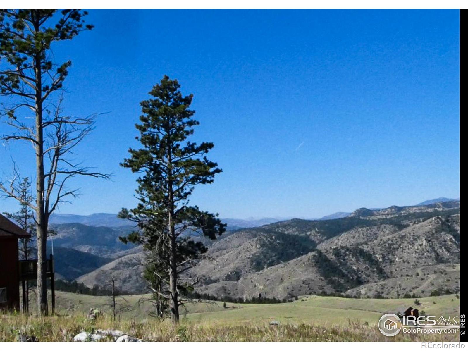 59 Bobcat Mountain Court Livermore CO 80536