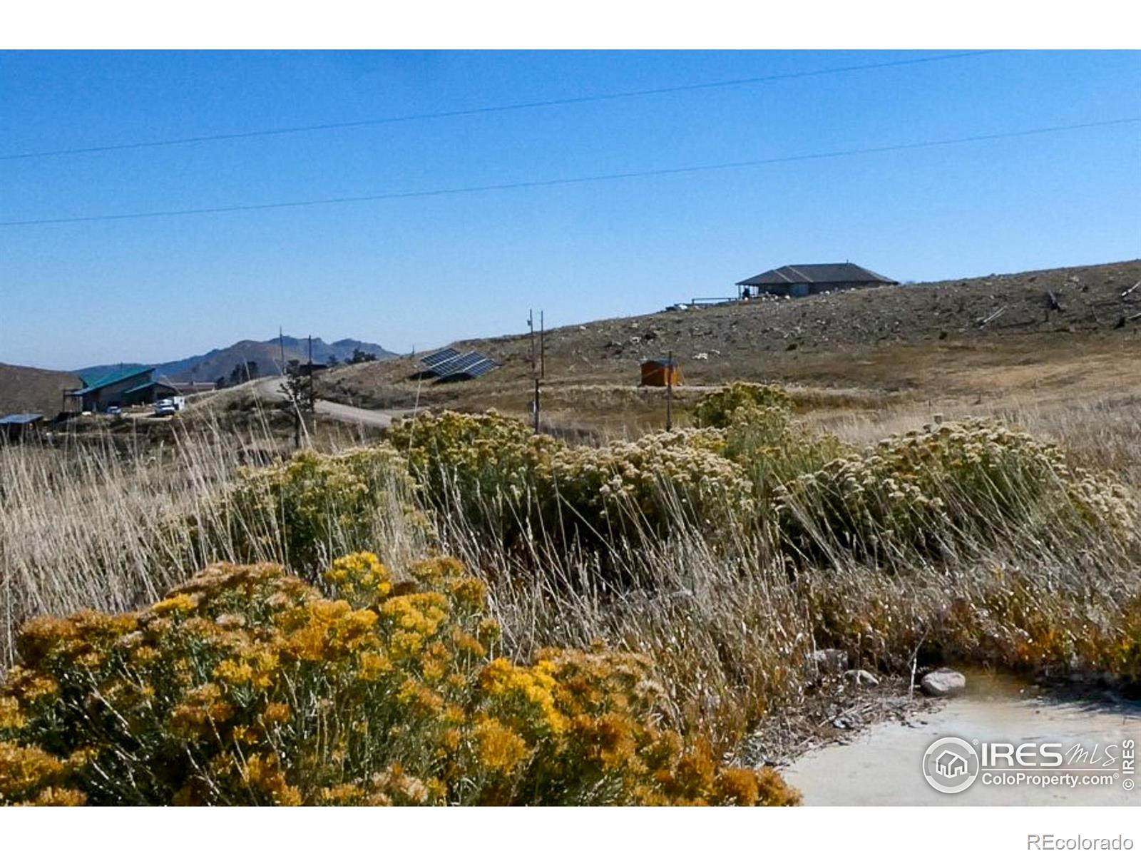 59 Bobcat Mountain Court Livermore CO 80536