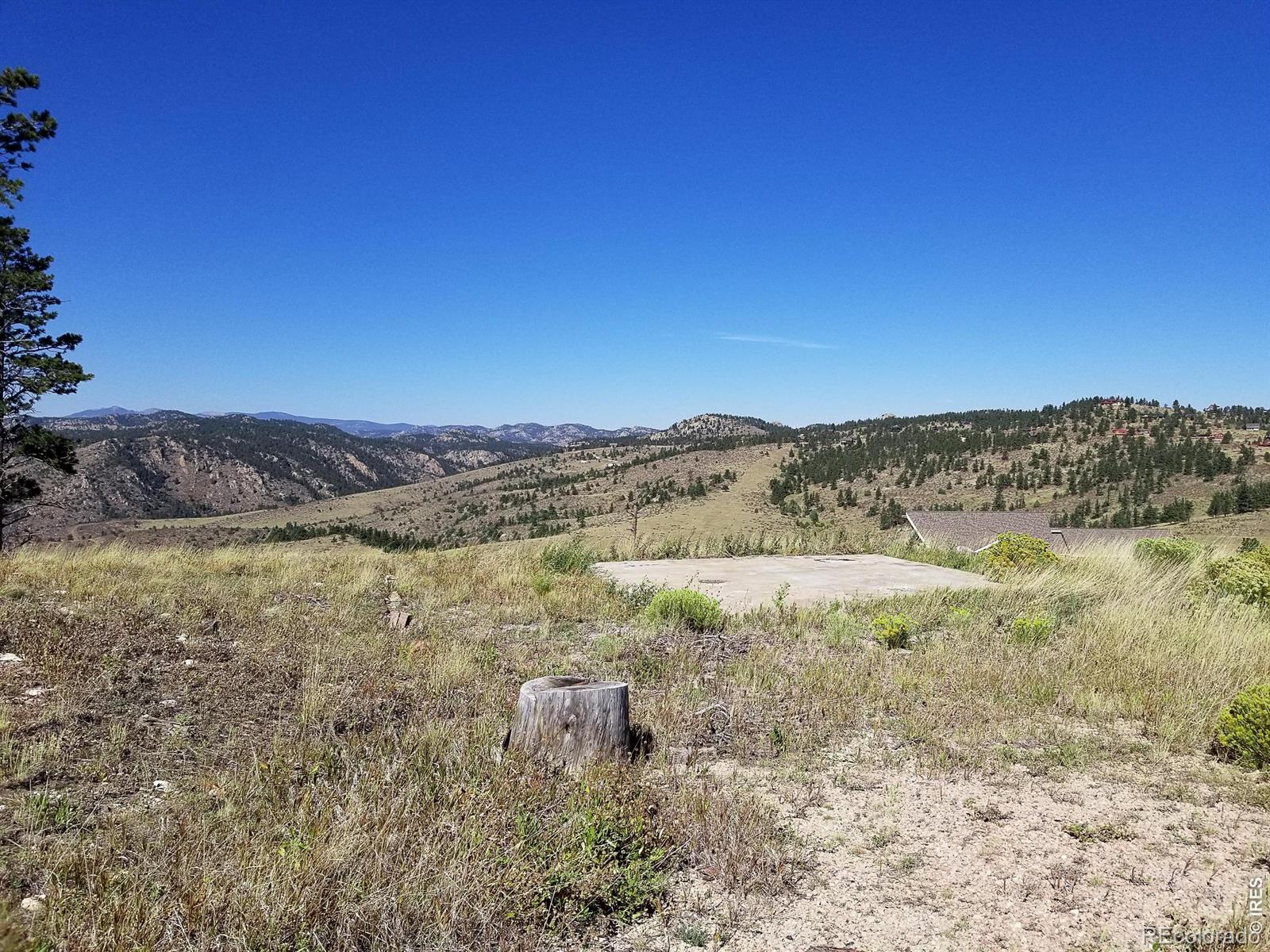 59 Bobcat Mountain Court Livermore CO 80536