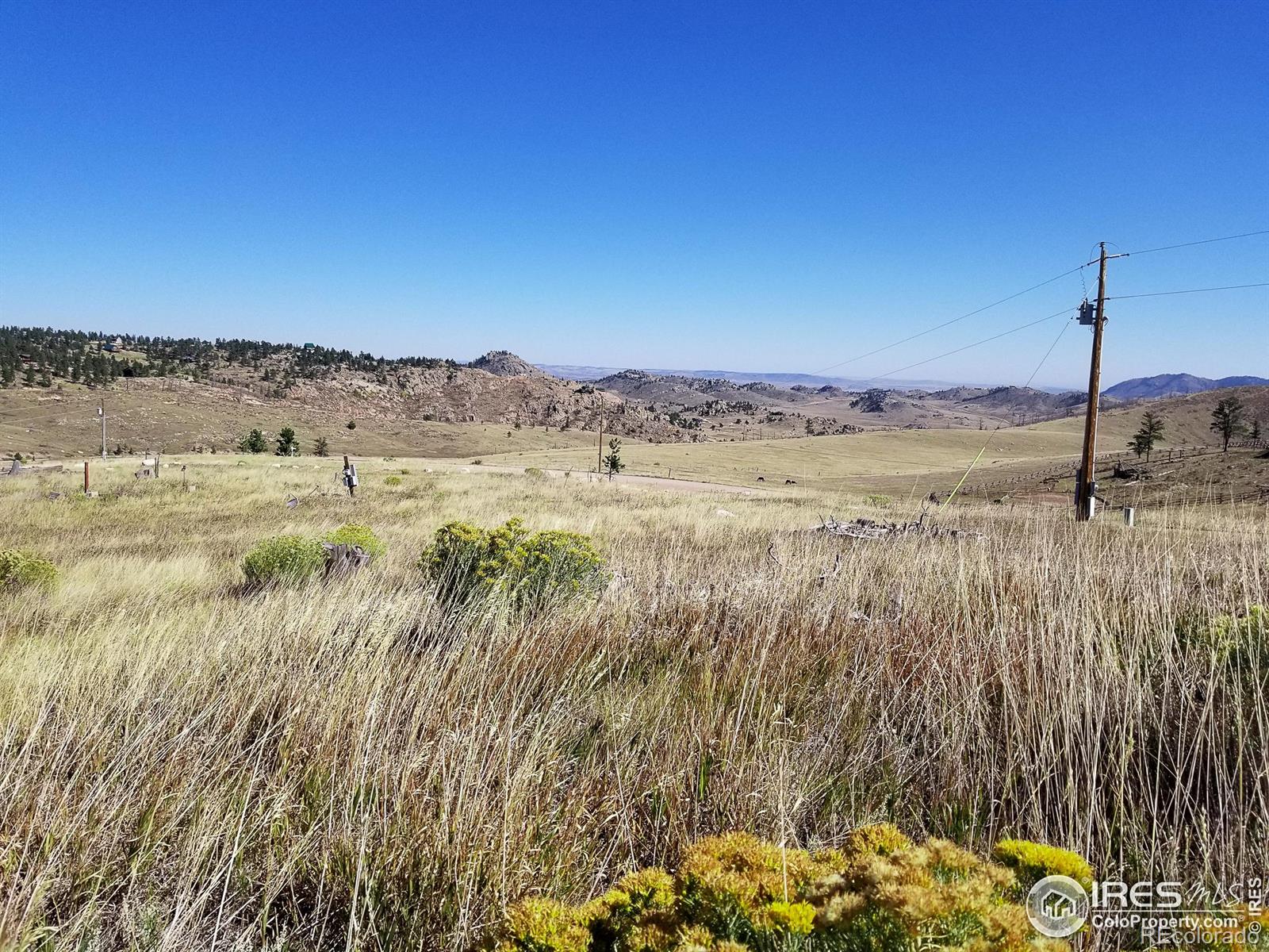 59 Bobcat Mountain Court Livermore CO 80536