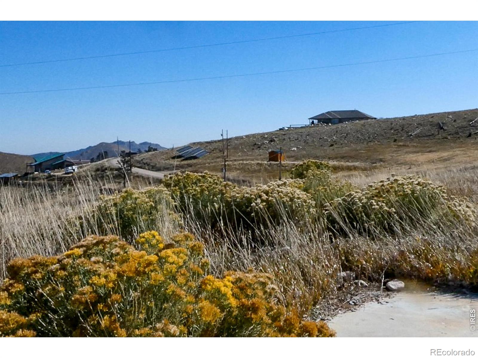 59 Bobcat Mountain Court Livermore CO 80536