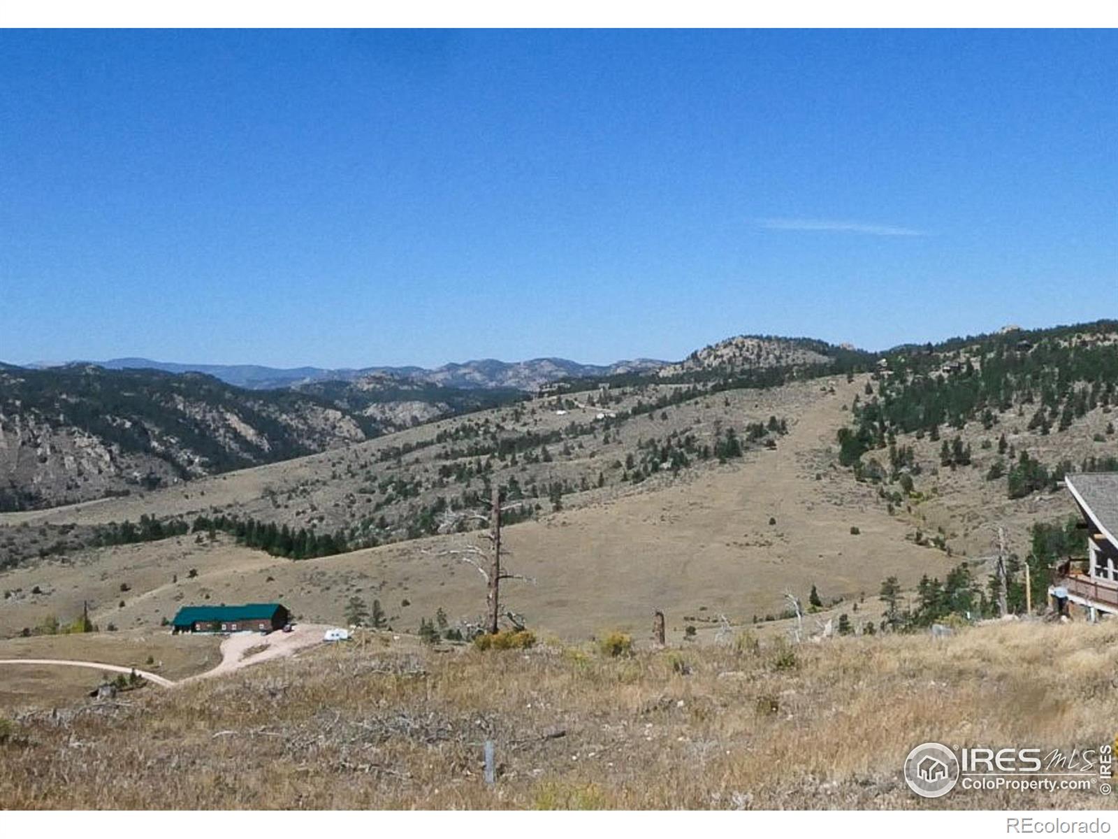 59 Bobcat Mountain Court Livermore CO 80536