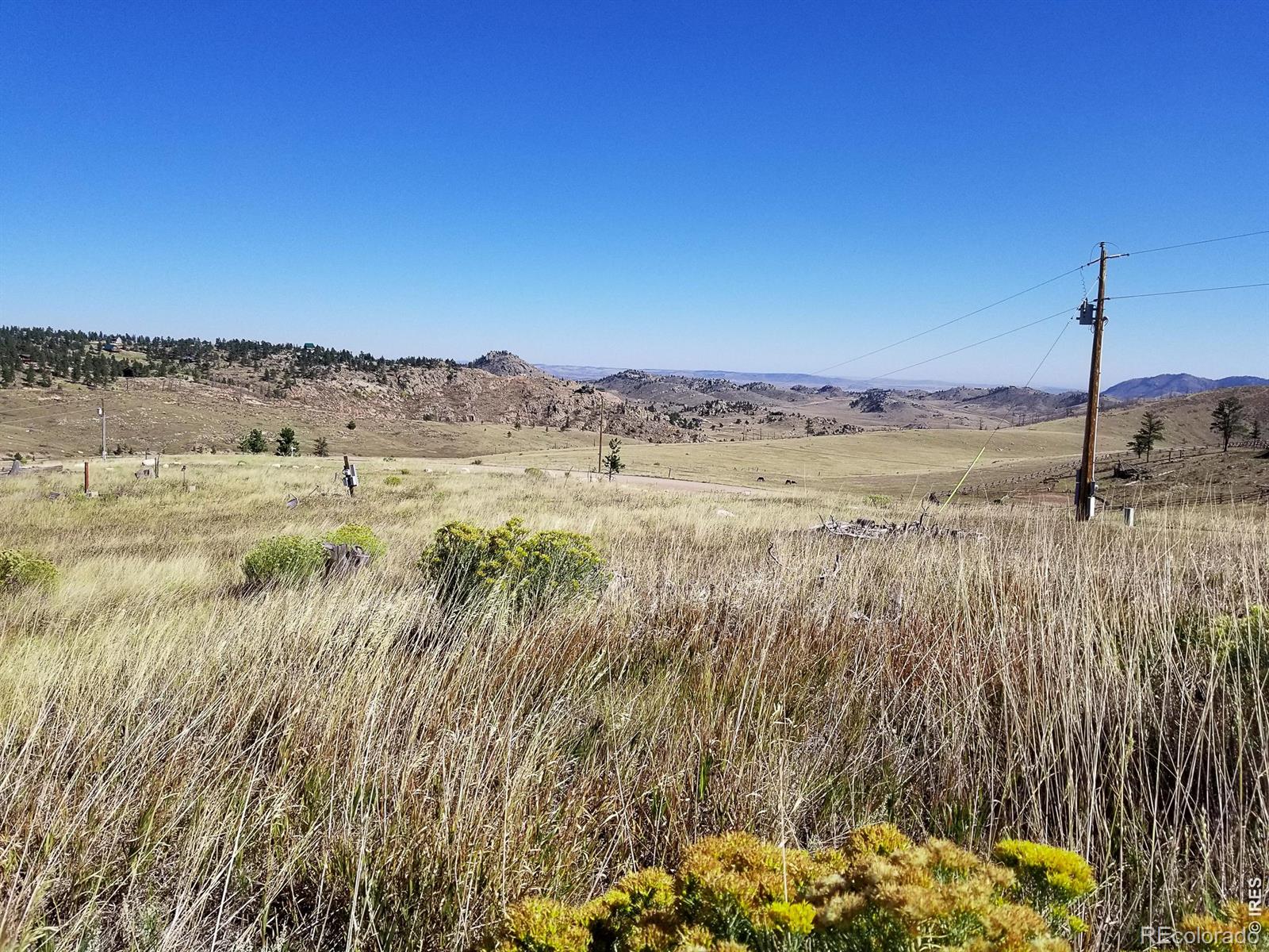 59 Bobcat Mountain Court Livermore CO 80536