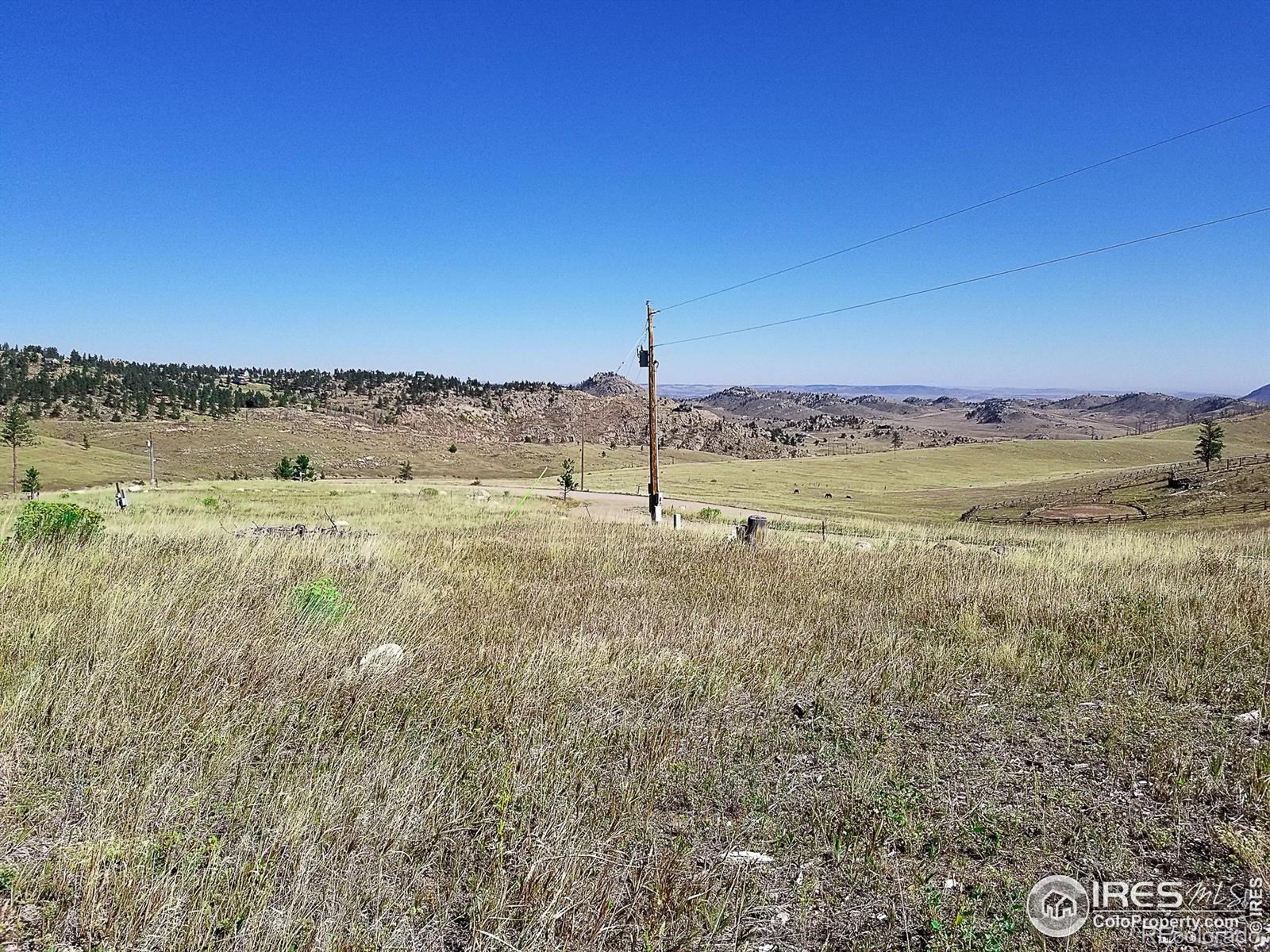 59 Bobcat Mountain Court Livermore CO 80536
