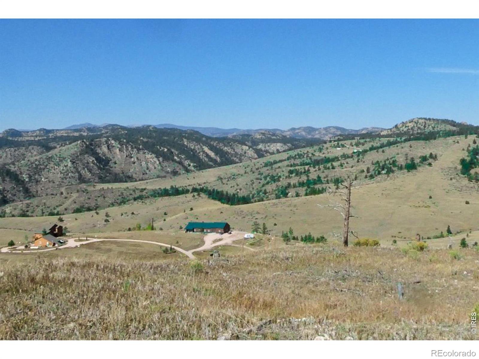 59 Bobcat Mountain Court Livermore CO 80536