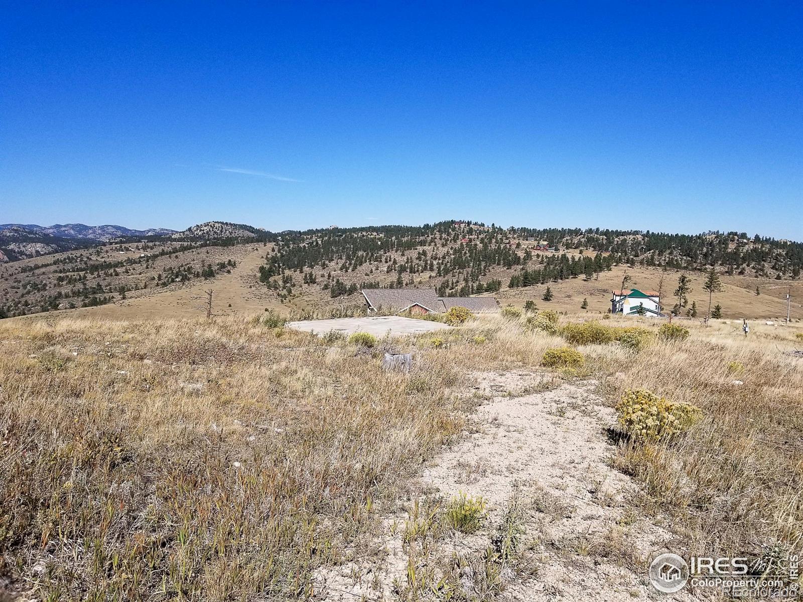 59 Bobcat Mountain Court Livermore CO 80536