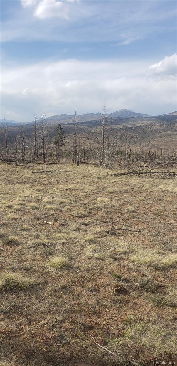 Lot 321 Hagin Lane Fort Garland CO 81133