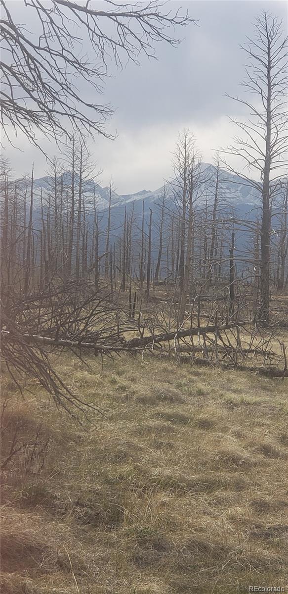 Lot 321 Hagin Lane Fort Garland CO 81133